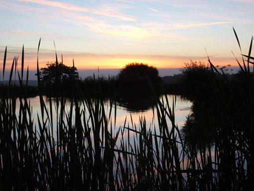 Fishing time-sun-rise.jpg