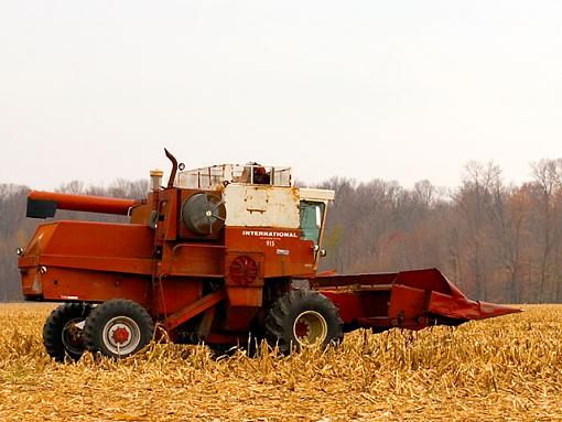 Alone in the field....-combineweb.jpg