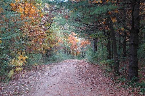 Nature trail-2005-10-24-mclinden-72-dpi4.jpg