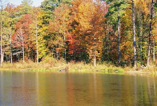 fall colors-clearcreeklake2_web.jpg