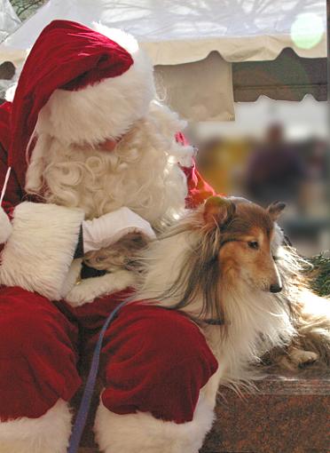 Santa, I Want A Home. Signed, A Good Dog.-clicks20932a.jpg