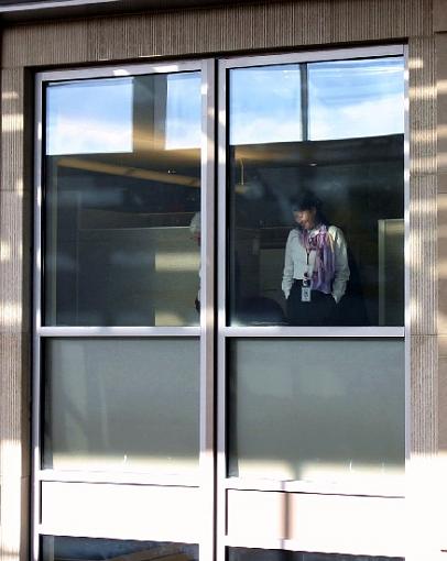 Judy Collins Performance.-window.jpg