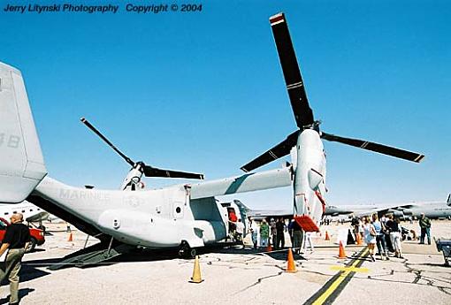 A resting osprey-0__z_08a_n8008s_18-35mm_ko100_3apr04_osprey-u528c.jpg