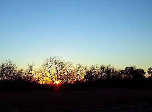 Pecan sunrise-100_2537-1.jpg