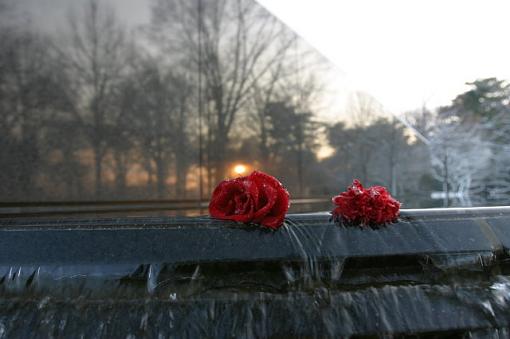 Korean War Veterans Memorial-k03.jpg