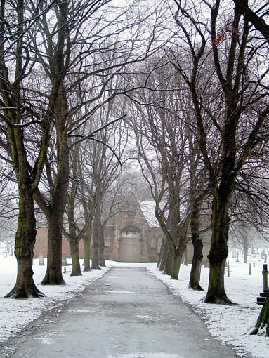 Winter Cemetery-walk.jpg