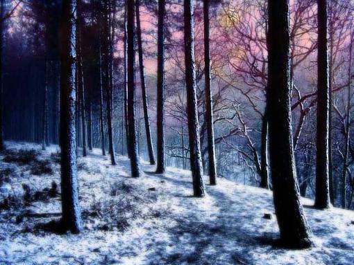 Snow in the woods (photoshop CS)-snow-woods-master.jpg