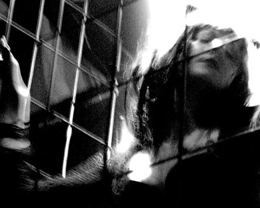 Caged-img_5599.jpg