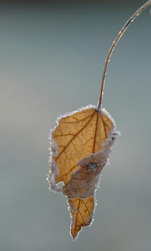 Click image for larger version.&nbsp;

Name:	DSC_2597-2.jpg&nbsp;
Views:	84&nbsp;
Size:	68.7 KB&nbsp;
ID:	22189
