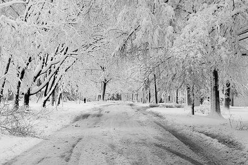 Snowy road-snow-covered-road.jpg