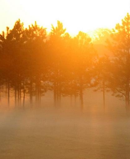 Sunrise and Fog-sunrise-fog.jpg