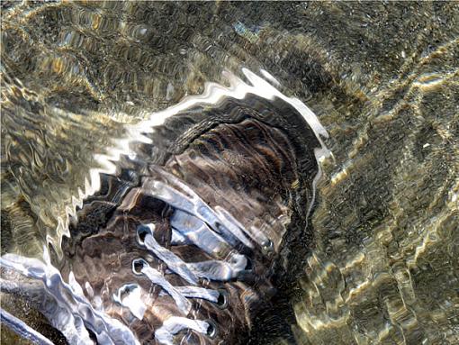 Where's Peet? (Beach shot involving water)-shoe.jpg