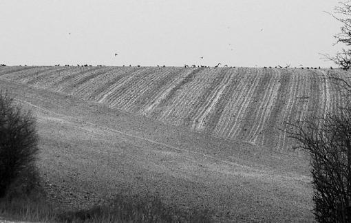 Going round the bend-crw_3700-b-w-640.jpg