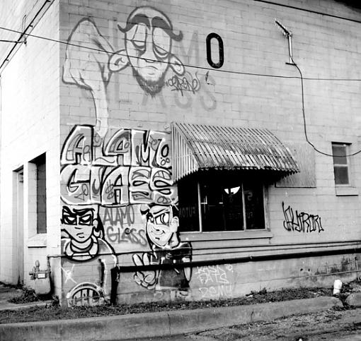 Alamo Glass-120farmfeb-07_websize_crop.jpg