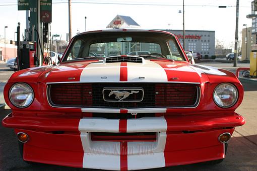 Mustang Legend-picture-0831.jpg