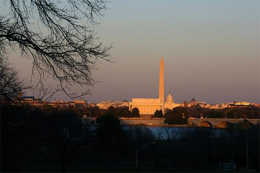 Shot of D.C. - Too Much Tree?-mytown.jpg