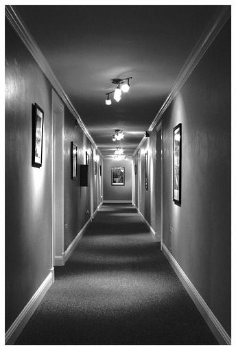 The Passage-hallway_web_thread.jpeg