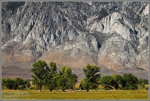 Cottonwoods Near Bishop-crw_5318-01.jpg