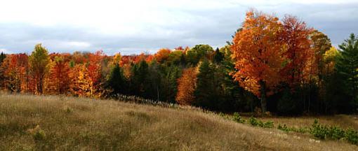 Michigan in Autumn #1-lp2005-10-22-frankfort-colors-7.jpg