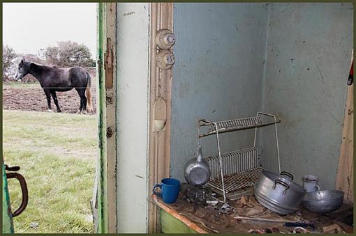 Through The Back Kitchen Door-back-kitchen.jpg