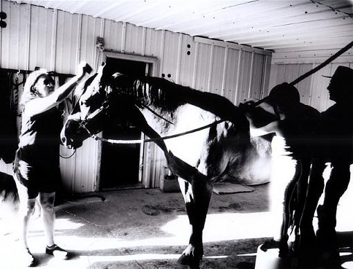 B&amp;W - getting ready to ride-suehorse.jpg