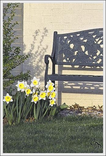 The Daffodil Bench-daffybenchsigned3.jpg