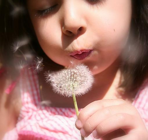 Making a Wish-makingawishdandelion.jpg