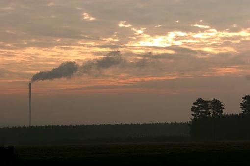 Dogs at Dawn-chimney-view.jpg