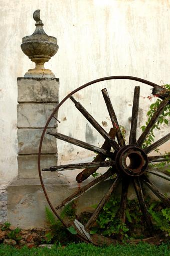 Garden Geometry-dsc_1420_hacienda_stilllife_small.jpg