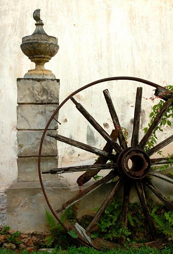 Garden Geometry-dsc_1420_hacienda_stilllife_v2small.jpg