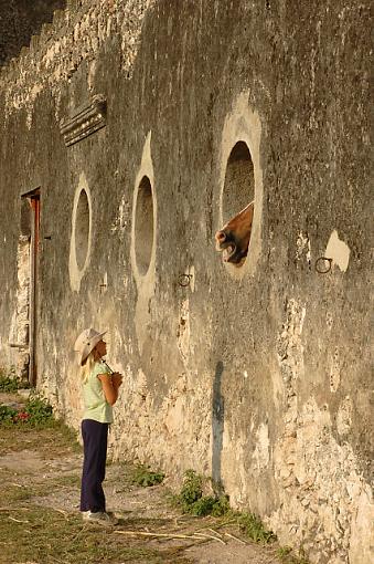 Chatting with the Onceler-dsc_1430_hacienda_theoncelersmall.jpg