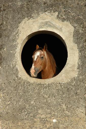 Chatting with the Onceler-dsc_1428_hacienda_oncelersmall.jpg