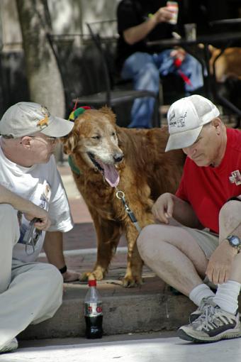 Reston Pet Fiesta 2-good-joke-.jpg