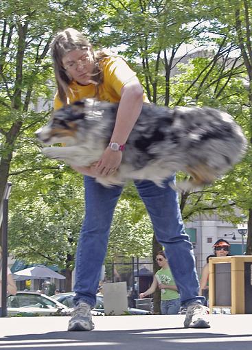 Reston Pet Fiesta 3-through-hoop.jpg