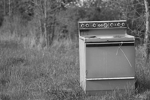 Out to Pasture-img_9393bwsmall.jpg