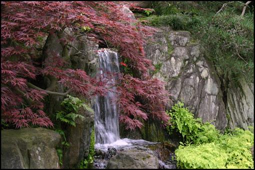 Waterfall at Japanese Garden...-img_2711_w640.jpg