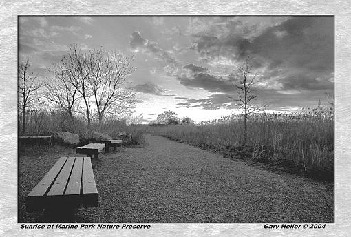 Sunrise at Marine Park Nature Preserve-lndscp0504-1206xweb.jpg