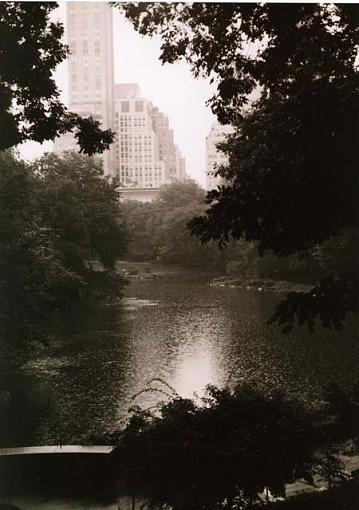 Central Park-centralpark-web.jpg