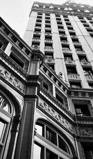 the wrigley building-wrig.jpg