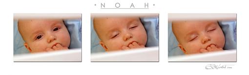 Can't. . .Stay. . .Awake! Triptych-noah-triptych-1.jpg