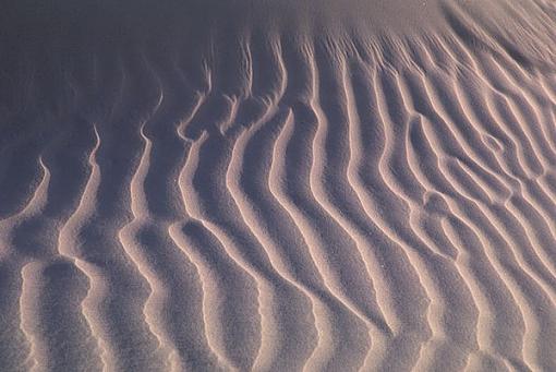 Sand Patterns-sand1_600.jpg