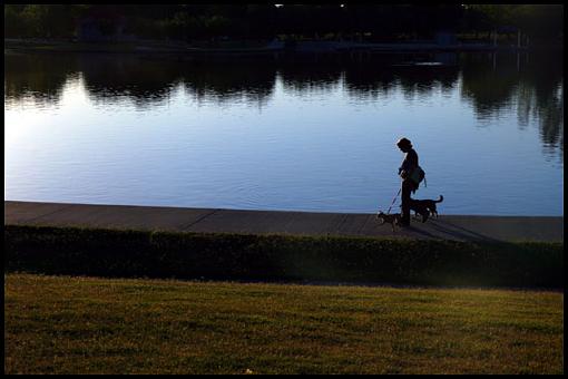 Summer Morning Walk...-236288img_4138_w640.jpg