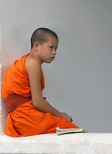 Young Monk-youngmonk.jpg