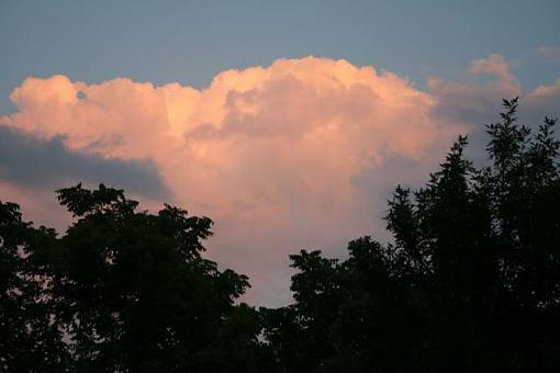 Clouds in Trees-clouds-trees.jpg