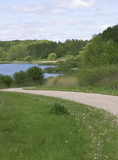 First Day at the Forest Preserve-pj-path.jpg