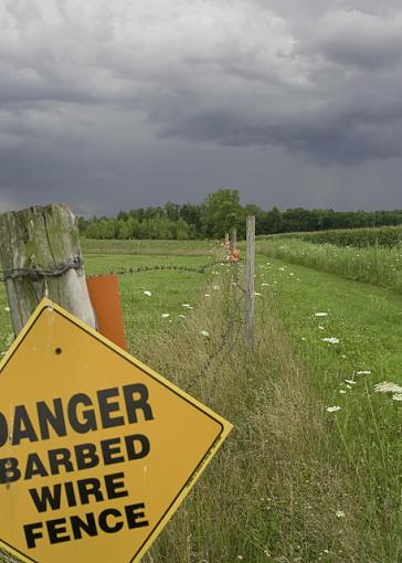 Barbed Wire-barbed_wire_small.jpg