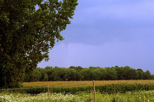 Auntie Em, it's a twister!-twister.jpg