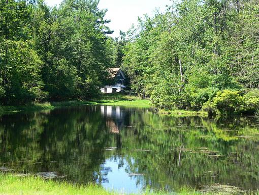 House On A Lake-gfg.jpg