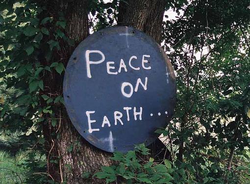 Peace sign reshoot-piecesign02bs.jpg