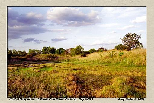 Field of Many Colors-lndscp0504-201602xweb.jpg